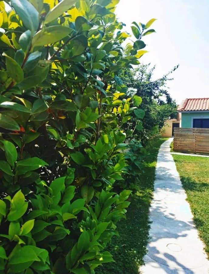 Casas Do Paco - Casas De Ferias Cabeceiras de Basto Zewnętrze zdjęcie