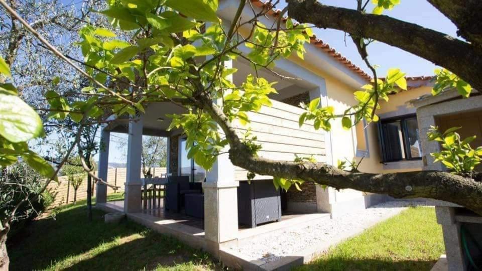 Casas Do Paco - Casas De Ferias Cabeceiras de Basto Zewnętrze zdjęcie