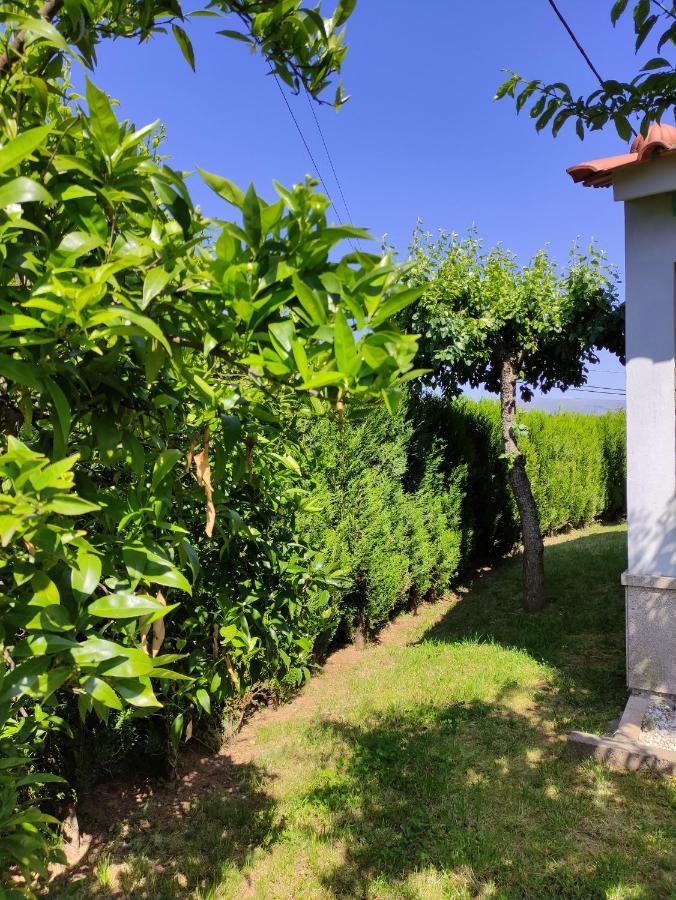 Casas Do Paco - Casas De Ferias Cabeceiras de Basto Zewnętrze zdjęcie