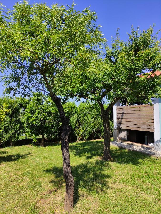 Casas Do Paco - Casas De Ferias Cabeceiras de Basto Zewnętrze zdjęcie