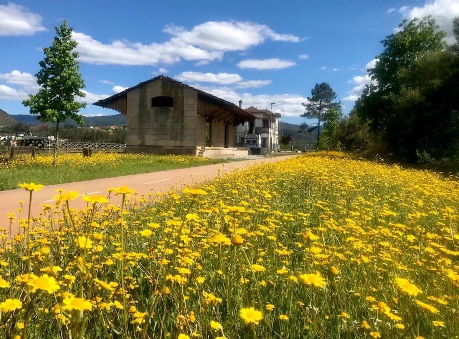 Casas Do Paco - Casas De Ferias Cabeceiras de Basto Zewnętrze zdjęcie